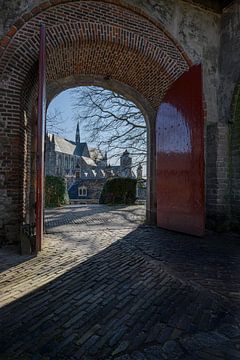 De Hooglandse kerk gezien vanaf de Burcht in Leiden van Peter Bartelings