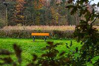 Hidden Resting Point in Nature.