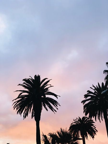 Los Angeles by Hello Pompoyo