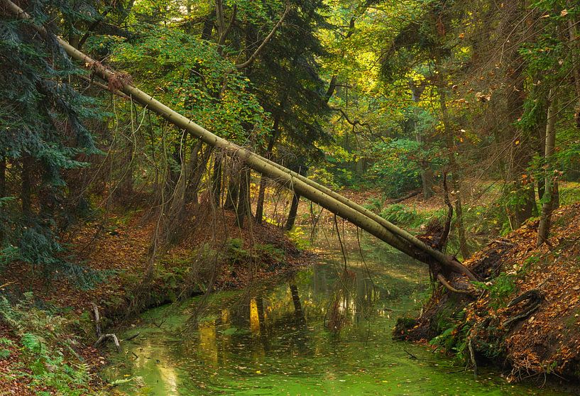 Fraeylemaborg estate - Groningen (Netherlands) by Marcel Kerdijk