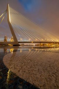 Reflecties aan de Maas van Bob Vandenberg