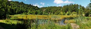Nonnenmattweiher-Panorama im Schwarzwald 1.0