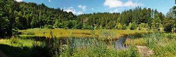 Nonnenmattweiher-Panorama im Schwarzwald 1.0