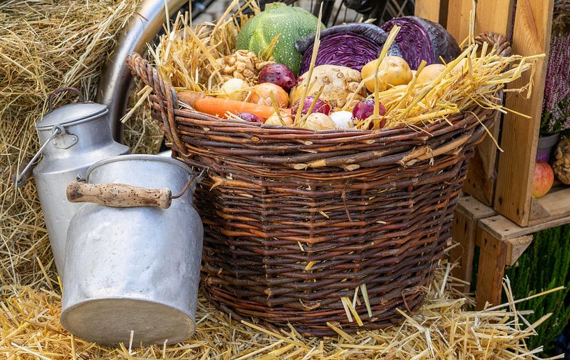 herbstliche Dekoration mit Gemüsekorb als Hintergrund von Animaflora PicsStock