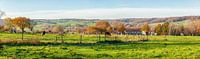 Herfstkleuren op de heuvels van Zuid-Limburg van John Kreukniet thumbnail