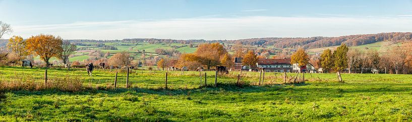 Herfstkleuren op de heuvels van Zuid-Limburg van John Kreukniet