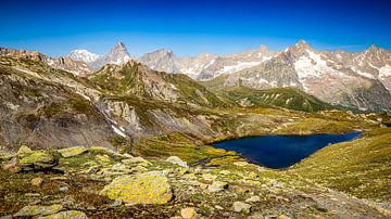 Uitzicht op de Mont Blanc-groep. van Marcel Hechler