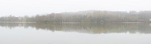 Blick auf einen nebligen See und spiegelnde Winterbäume von Werner Lerooy