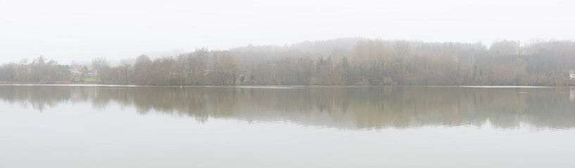 View over a foggy lake and reflecting winter trees by Werner Lerooy