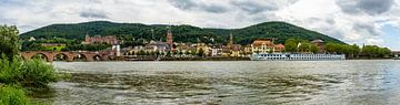 Panorama van Heidelberg, Duitsland van Guenter Purin