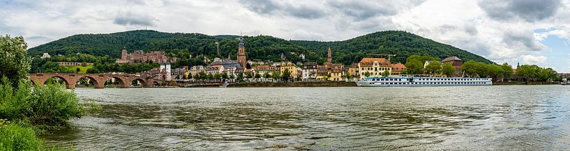 Panorama of Heidelberg, Germany by Guenter Purin