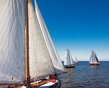 Segeln von Harrie Muis Miniaturansicht