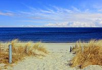 Weg zum Strand