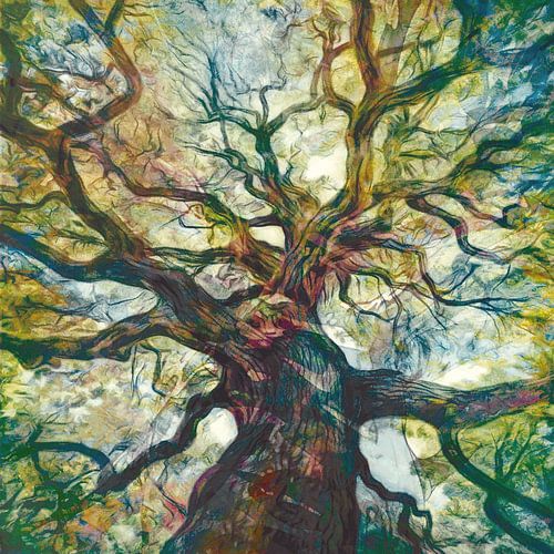 Le ciel est la limite