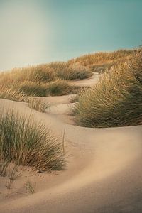 Verträumtes Dünenfoto - Seeland in Ruhe