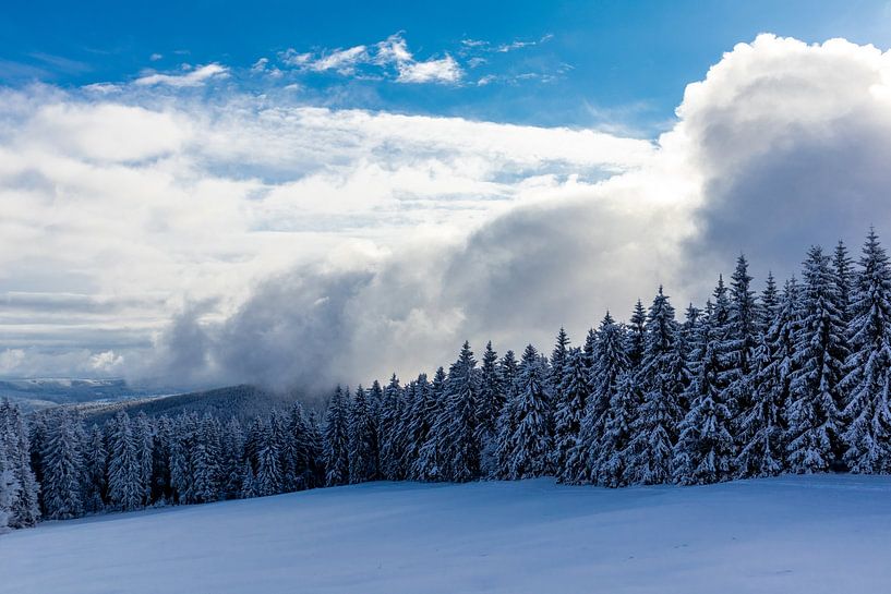 Winter Wonderland Thüringer Woud bij Schneekopf van Oliver Hlavaty