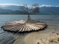 Raft of bamboo on lake