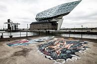 Port House Antwerp by Frens van der Sluis thumbnail