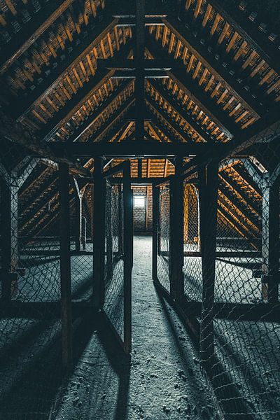 lieux perdus par Nina Schütz