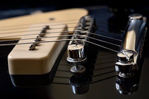 Gibson Les Paul - Chroom en zwart esdoornhout