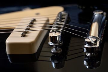Gibson Les Paul - Chrome et bois d'érable noir sur Rolf Schnepp