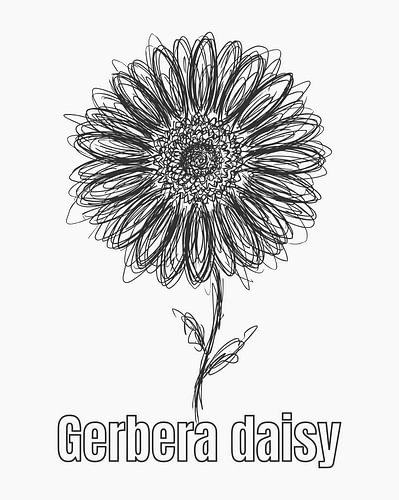 Minimalistisches Poster mit Strichzeichnung einer Garbera-Gänseblümchenblüte – weiße Ausgabe