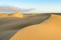 Dünen von Maspalomas auf Gran Canaria von Michael Valjak Miniaturansicht
