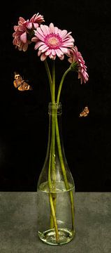Royal Gerbera Stillleben "Gerbera in einer Glasflasche" von Sander Van Laar