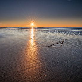 Branche sur la plage au coucher du soleil sur peterheinspictures