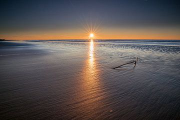 Zweig am Strand bei Sonnenuntergang von peterheinspictures