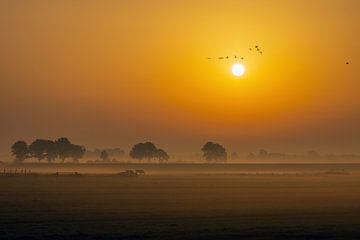 Fries Landschap van Niels  de Vries