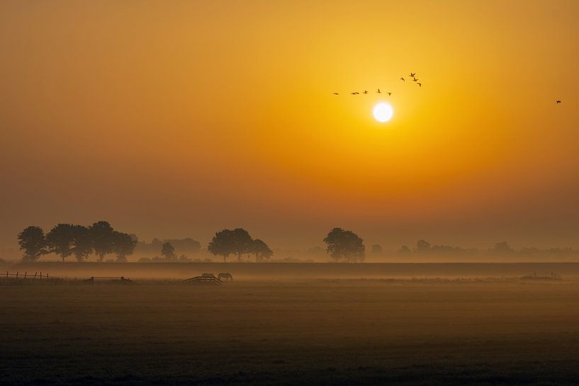 Fries Landschap van Niels  de Vries
