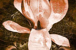 Übersponnene Magnolie mit einer Libelle