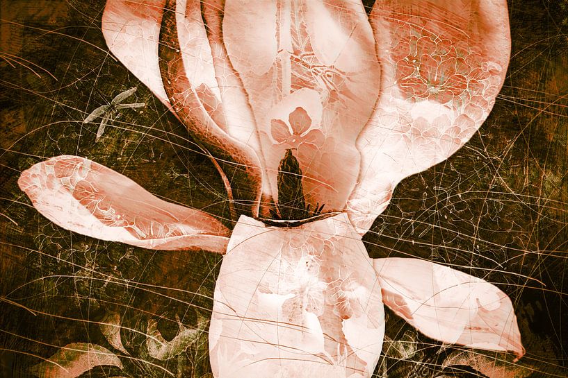 Magnolia surjeté avec une libellule par Helga Blanke