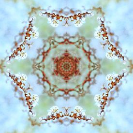 Mandala in sanften Farben von Steffi Hommel