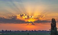 Sunrays Zaanse Schans