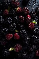 Blackberries
