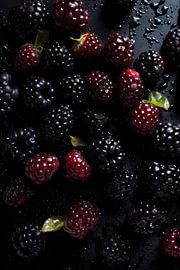 Mûres sur drdigitaldesign