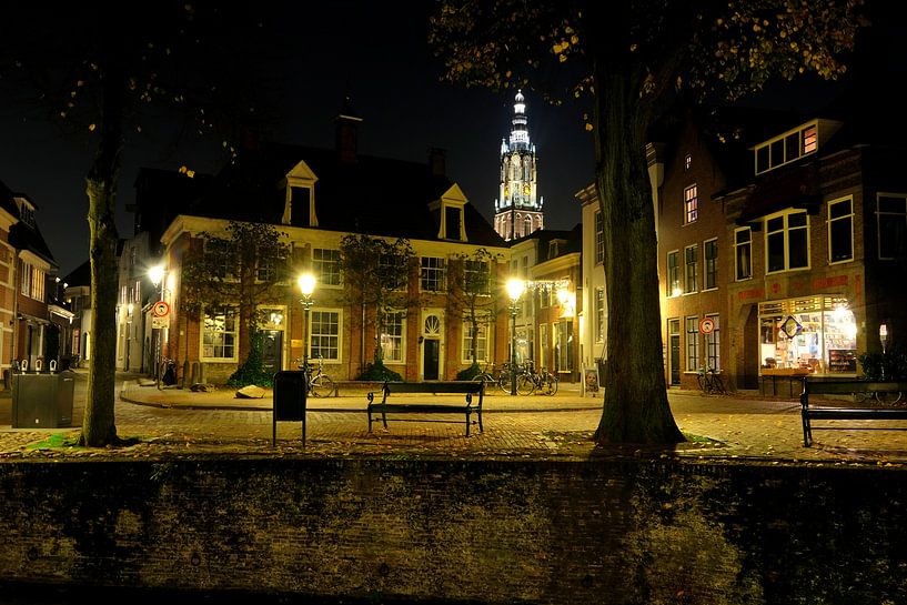 Het Havik met de Onze Lieve Vrouwetoren  von Cees Laarman