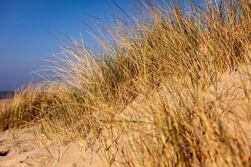 Situé dans les dunes, à l'abri du vent