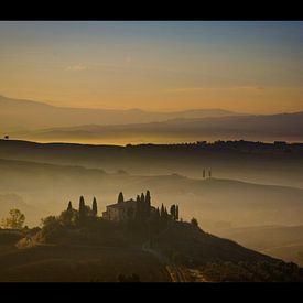 Belvedere im Nebel von Manuel Meewezen