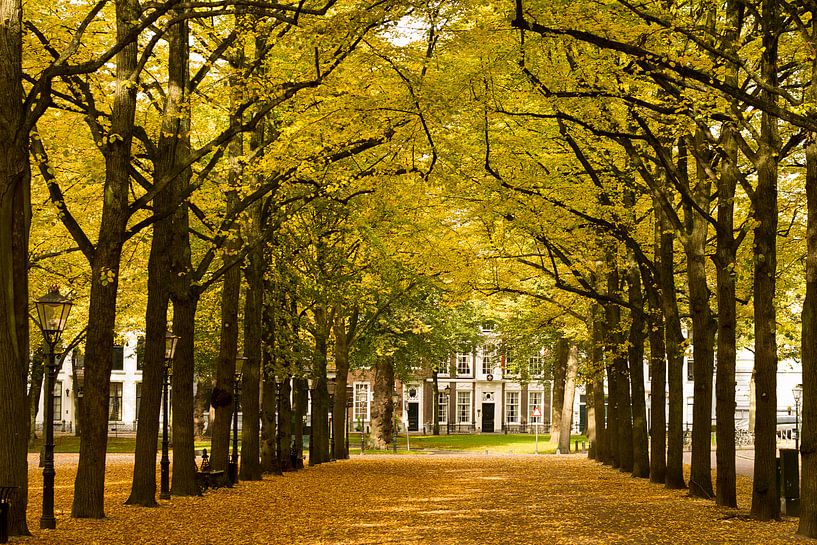 Toernooiveld in de herfst by Hans van Kuijk