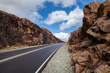 Straße in Schottland von Nel Diepstraten