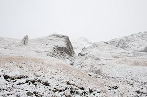 Baum in der schneebedeckten Berglandschaft von Remke Spijkers