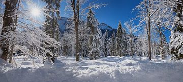 zonnige winterdag in het bos, met sneeuw bedekte bomen en bergen van SusaZoom