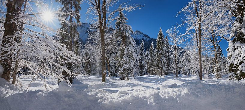 sunny winter day in the forest, snow covered trees and mountains by SusaZoom