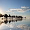 Kamelen en Fotograaf: Spiegeling bij Zonsondergang op Strand van Broome, Australië van The Book of Wandering