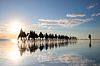 Kamelen en Fotograaf: Spiegeling bij Zonsondergang op Strand van Broome, Australië van The Book of Wandering thumbnail