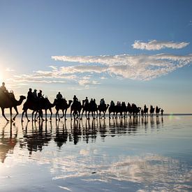 Kamelen en Fotograaf: Spiegeling bij Zonsondergang op Strand van Broome, Australië van The Book of Wandering