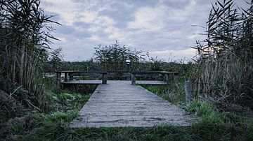 Zouweboezem landschap van AciPhotography